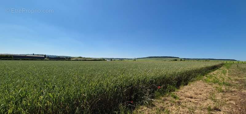Terrain à VERTUS