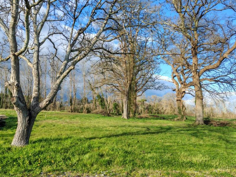 Terrain à HINX