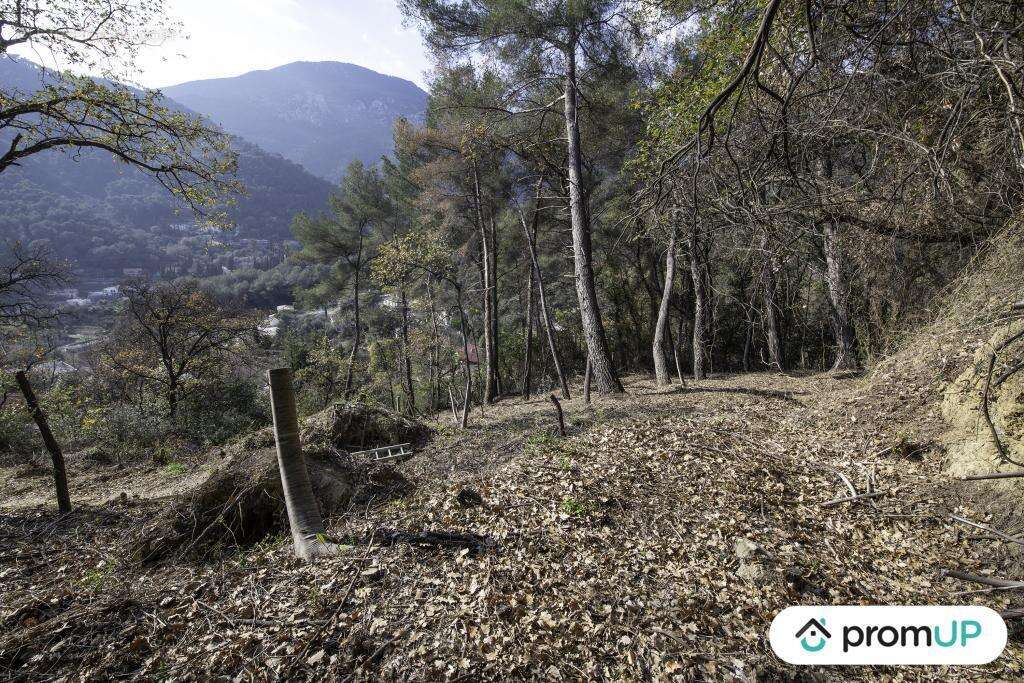 Terrain à GORBIO