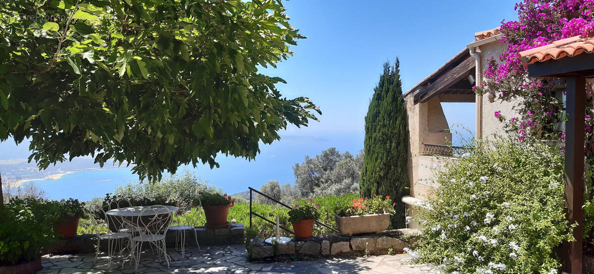 Maison à OLMETO