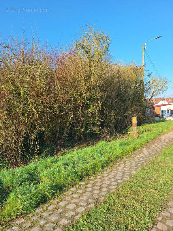 Terrain à MAING