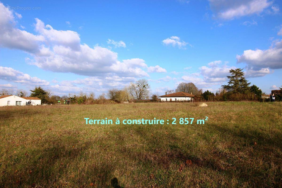 Terrain à BELLUIRE