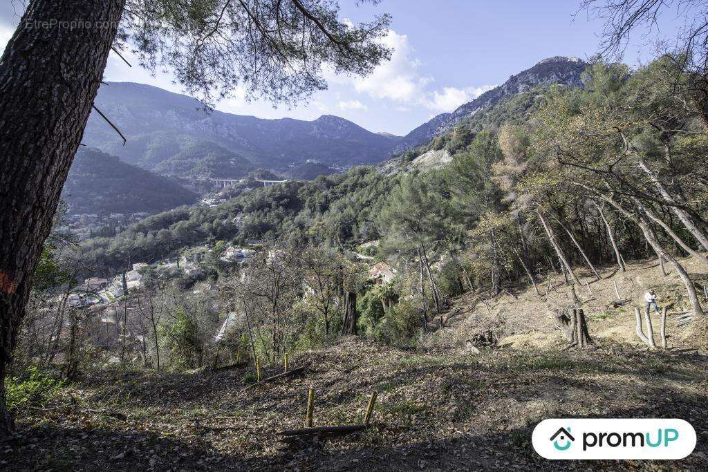 Terrain à GORBIO