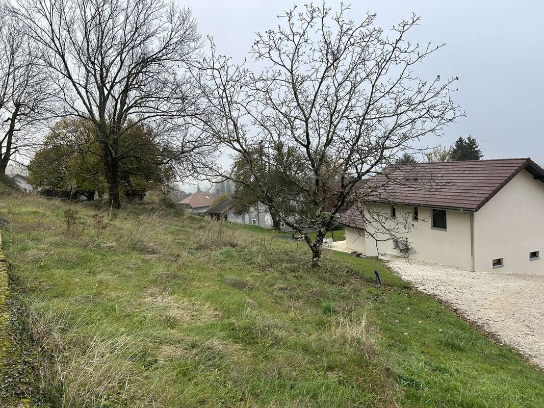 Terrain à CHINDRIEUX