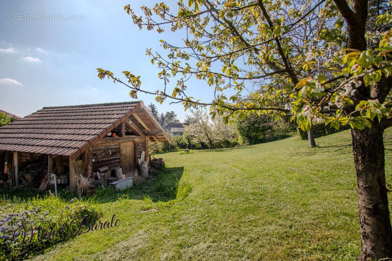 Maison à DARDILLY