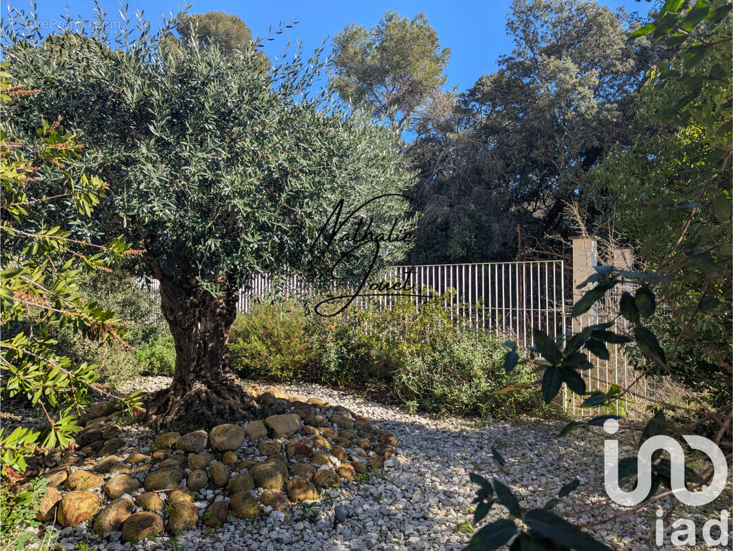 Photo 1 - Appartement à JUVIGNAC