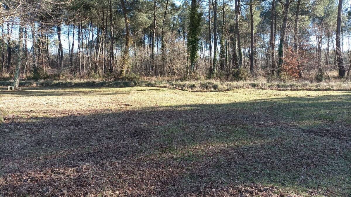 Terrain à SALLES