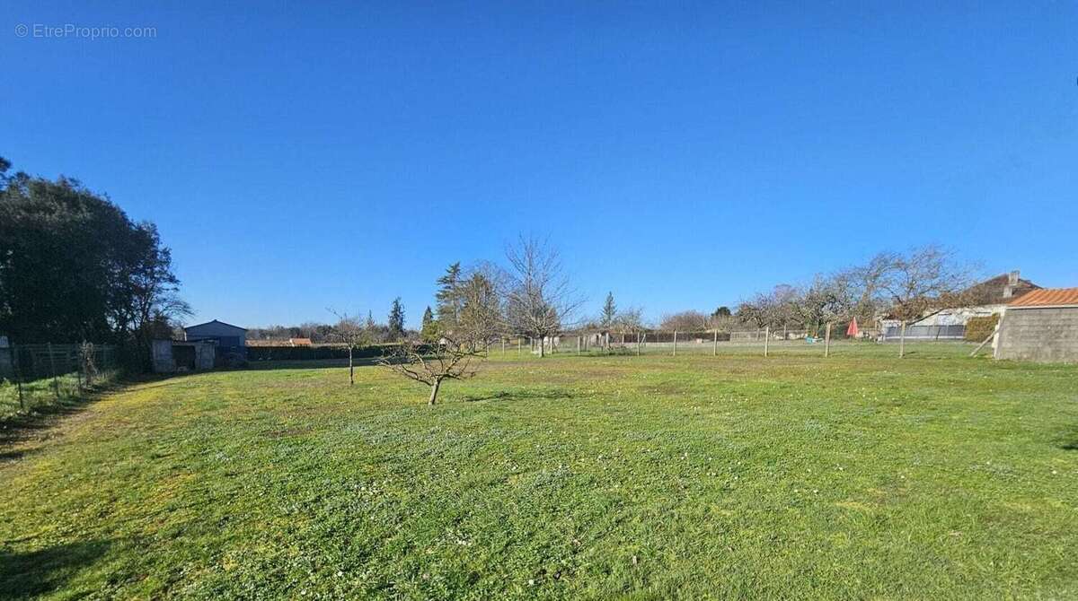 Terrain à COGNAC