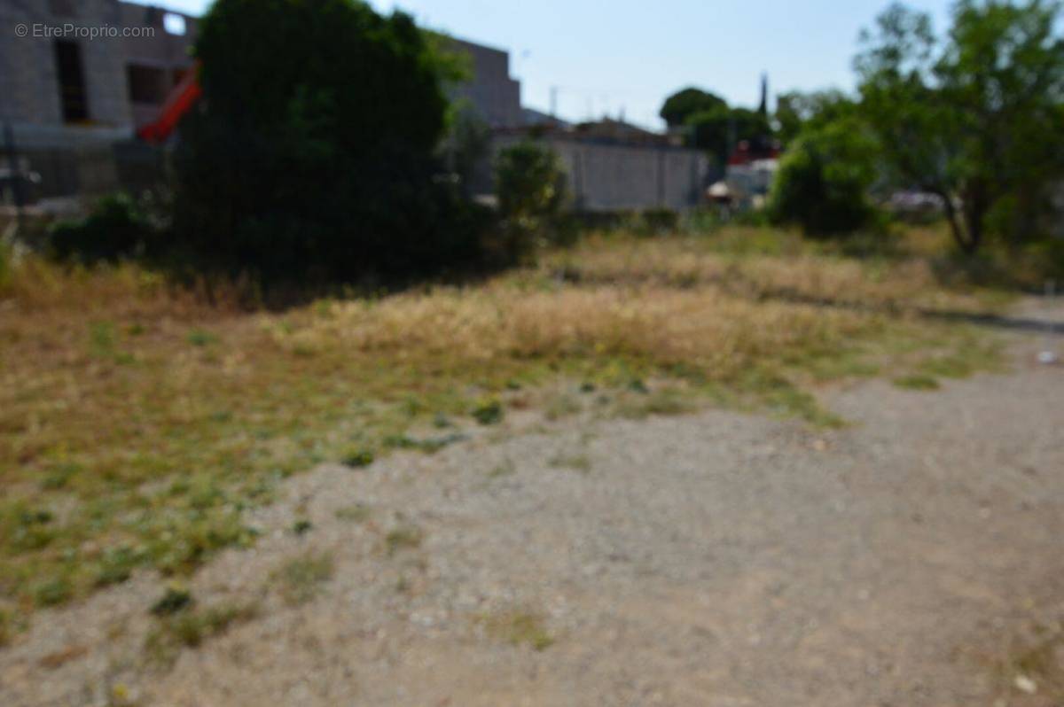 Terrain à FRONTIGNAN