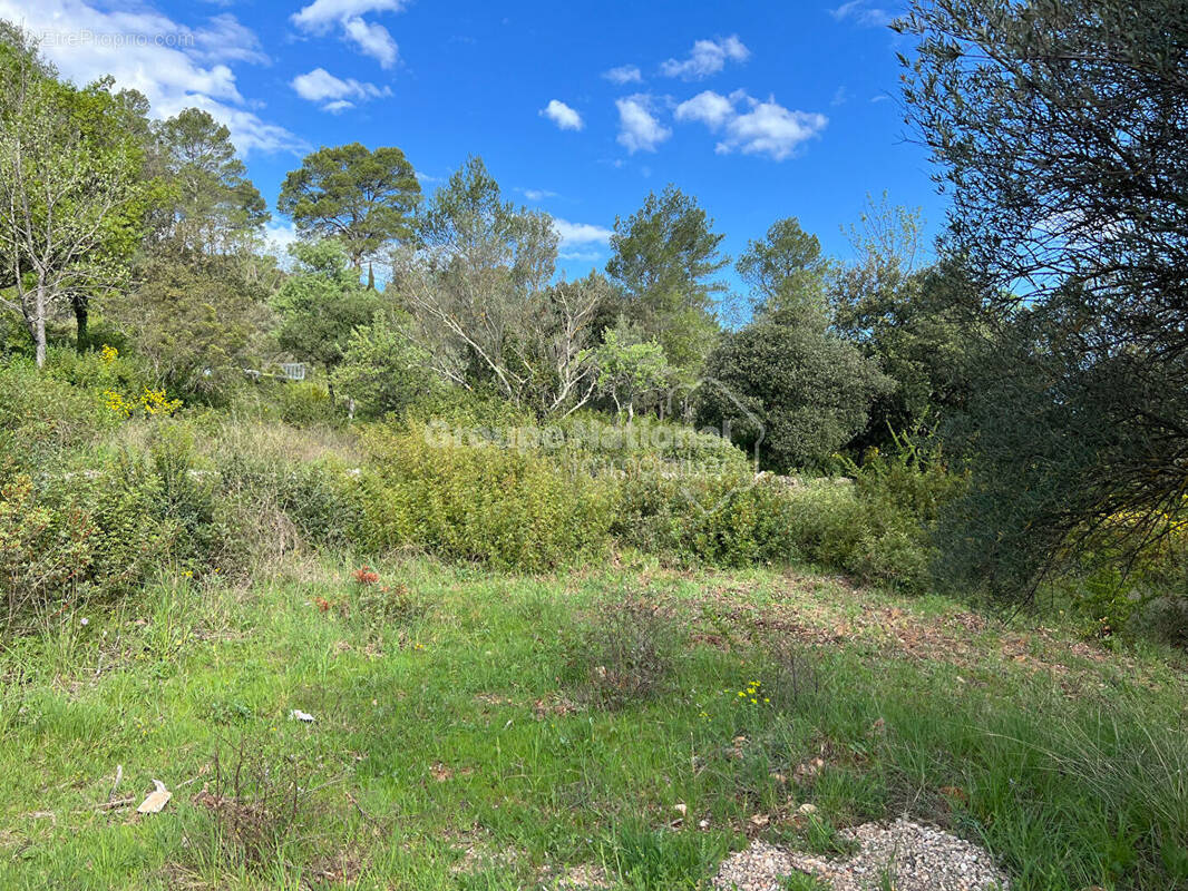 Terrain à LE THORONET