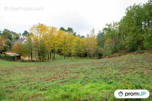 Terrain à SARLAT-LA-CANEDA