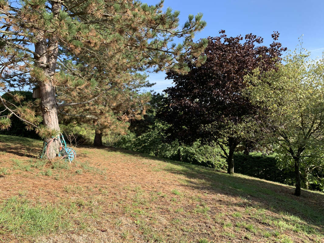 Terrain à LISSIEU