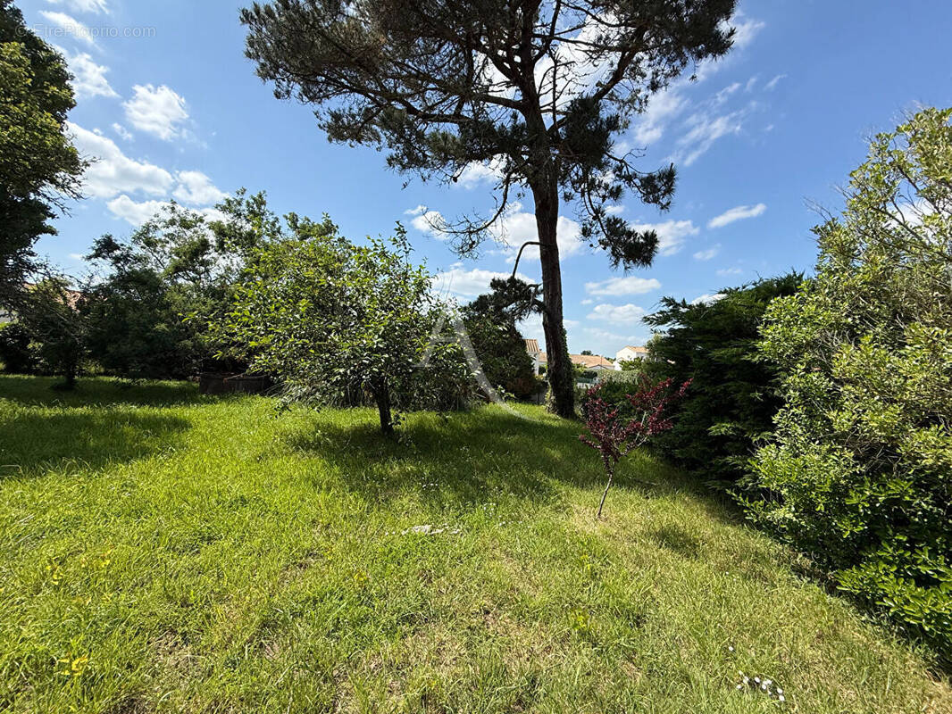 Terrain à GIVRAND