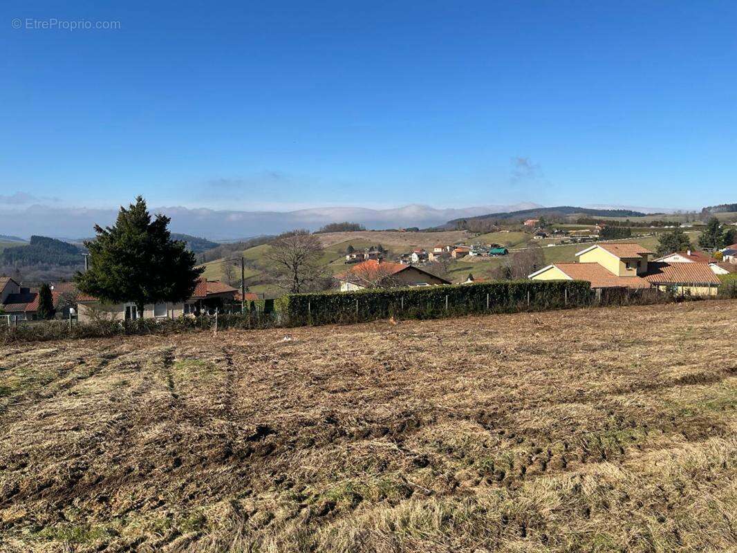 Terrain à TARARE