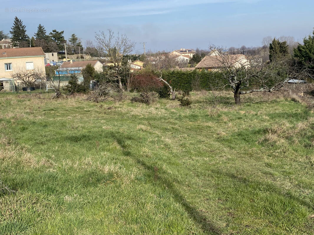 Terrain à DAVEZIEUX