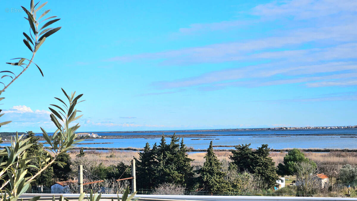 Appartement à FRONTIGNAN