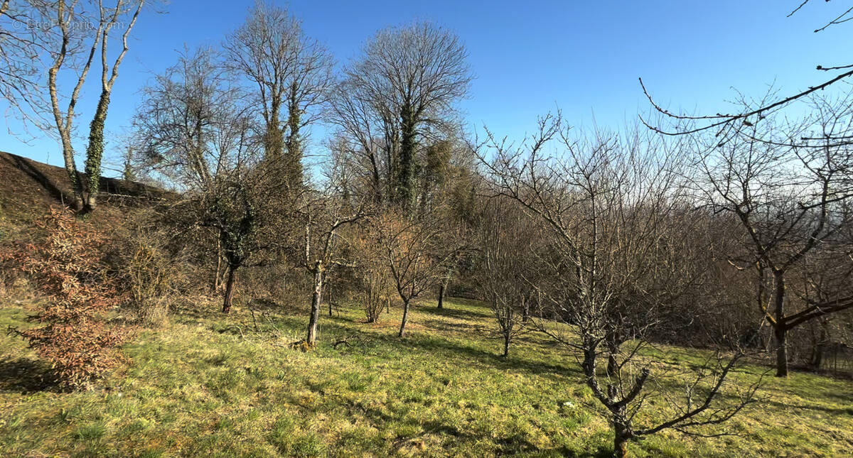 Terrain à VANDOEUVRE-LES-NANCY