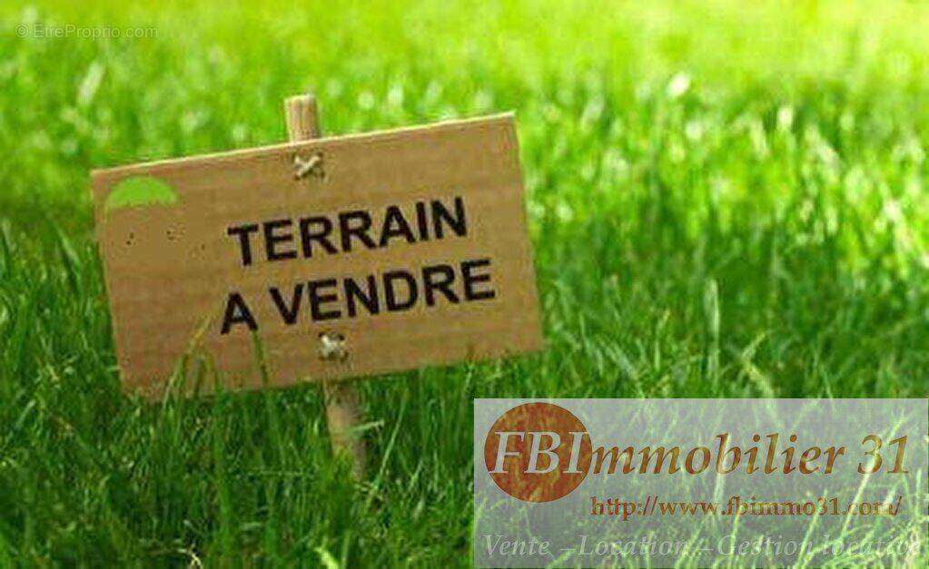 Photo 1 - Terrain à MURET