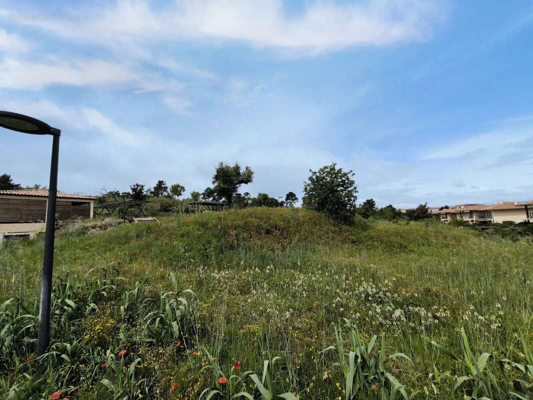 Appartement à ROQUEBRUNE-SUR-ARGENS