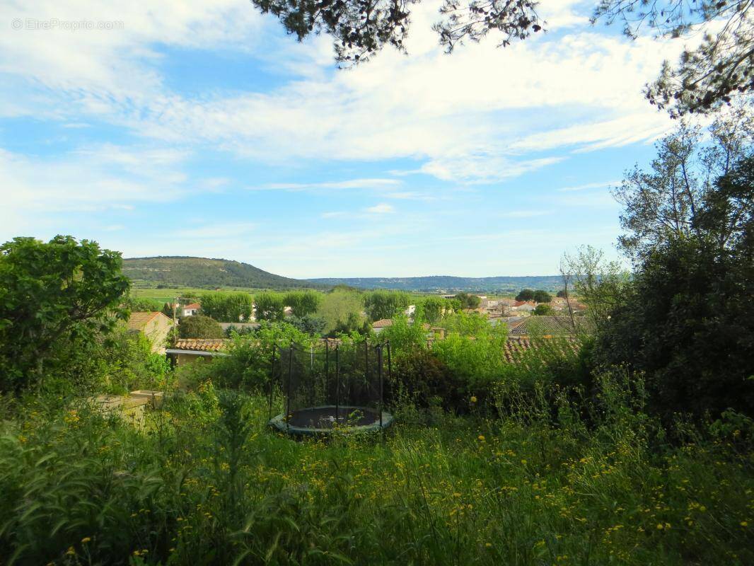 Terrain à CALVISSON