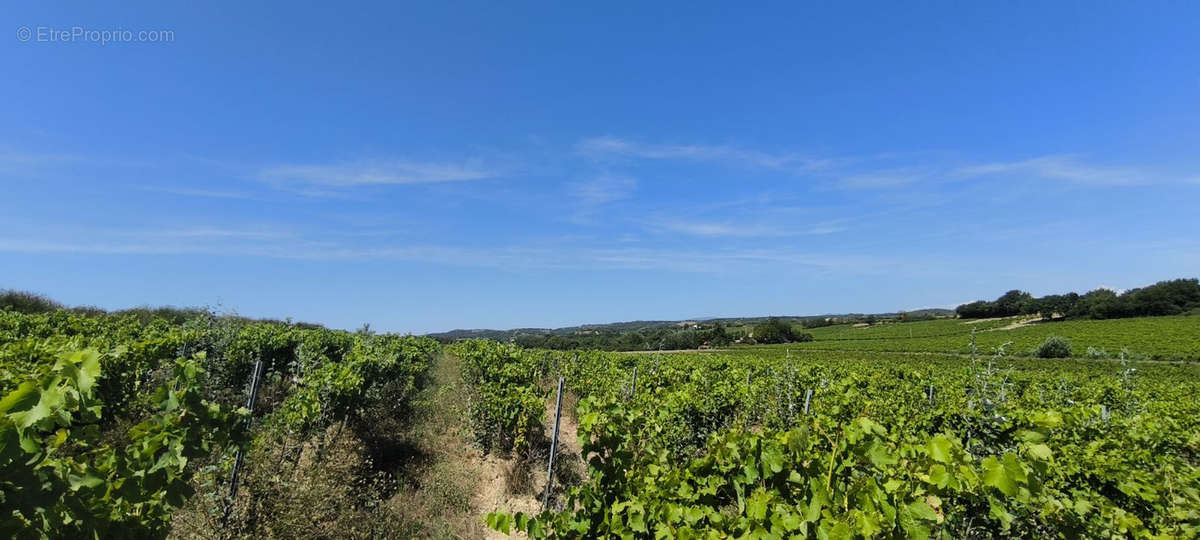 Terrain à VISAN