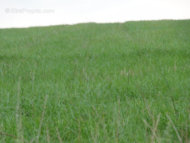 Terrain à PLOERDUT