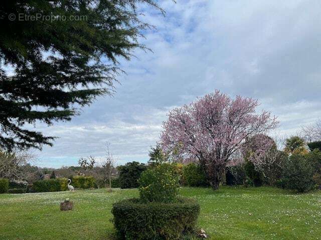Terrain à COGNAC