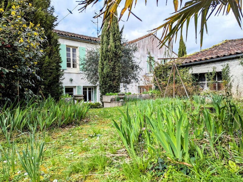 Maison à SEGONZAC