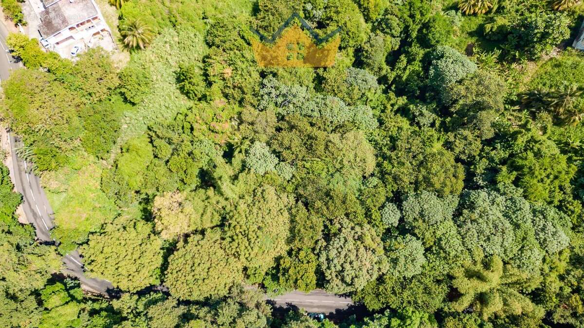 Terrain à LA TRINITE