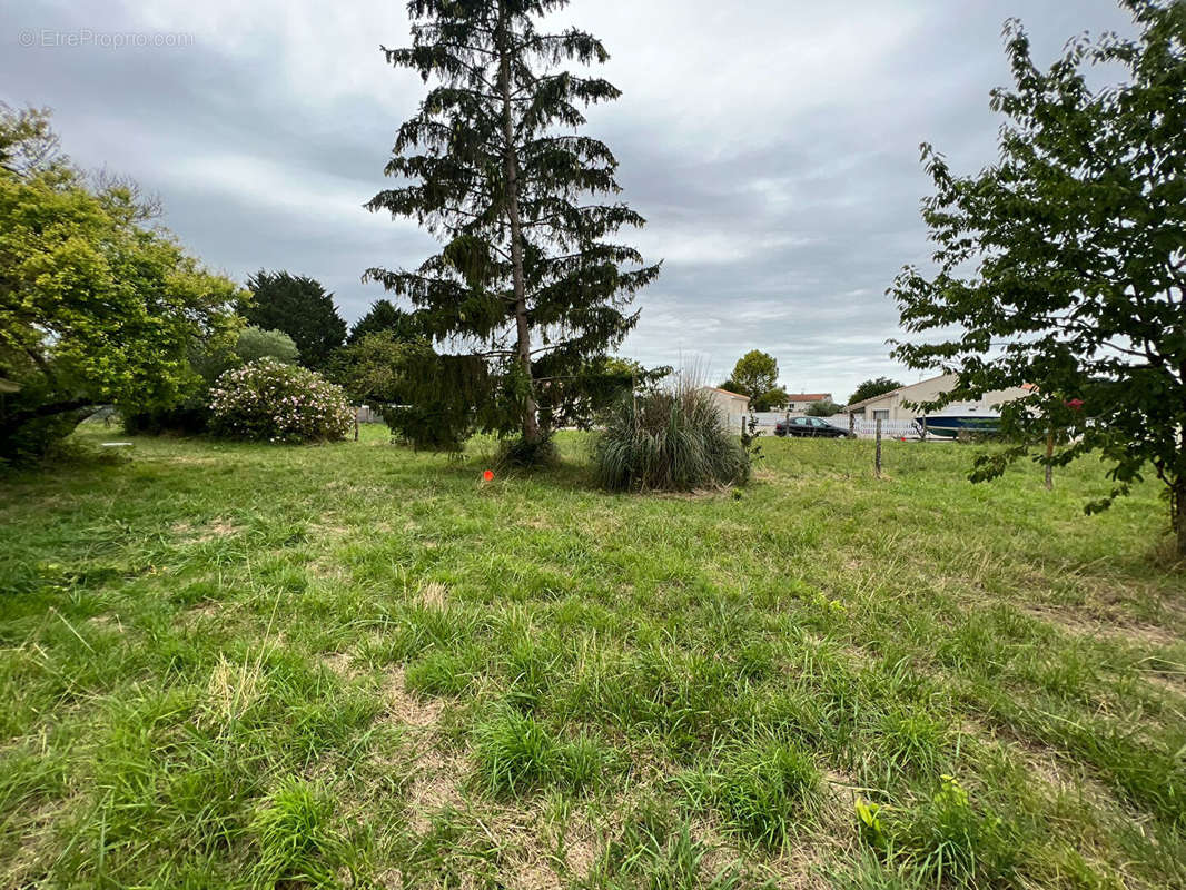 Terrain à ARVERT
