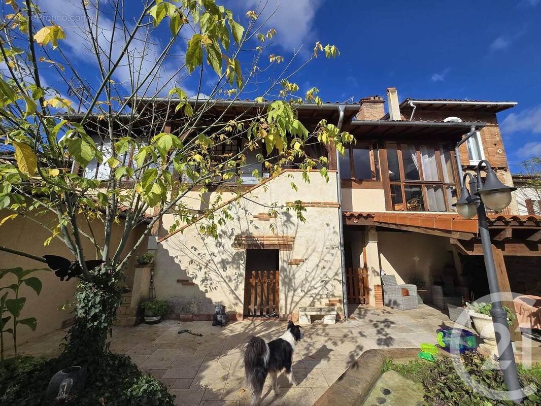 Maison à MONTESQUIEU-VOLVESTRE