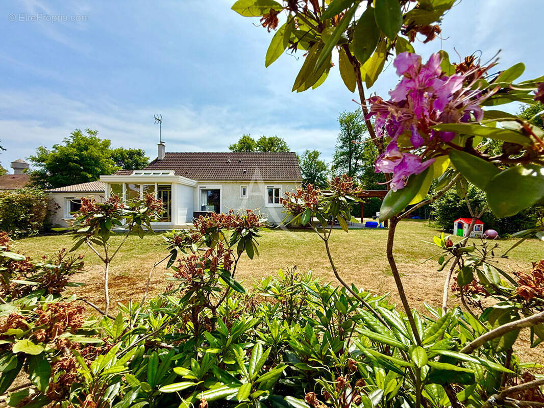 Maison à MENESTREAU-EN-VILLETTE