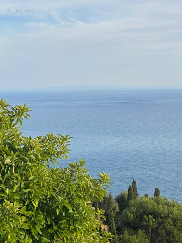 Terrain à EZE