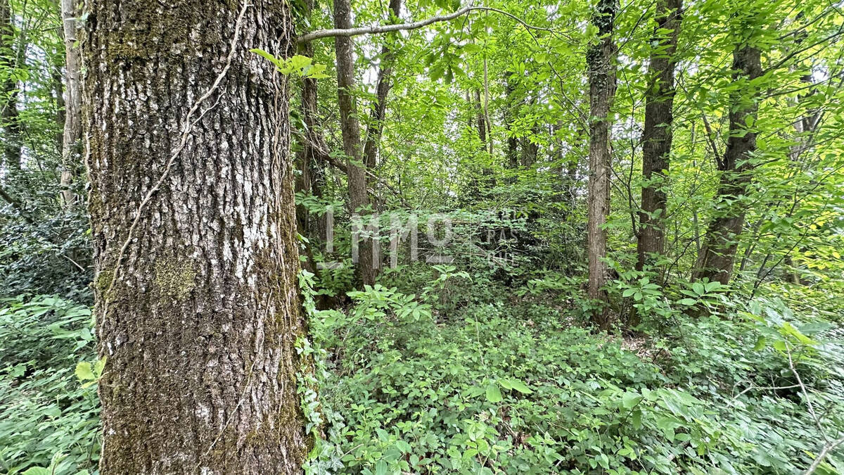 Terrain à CHENU