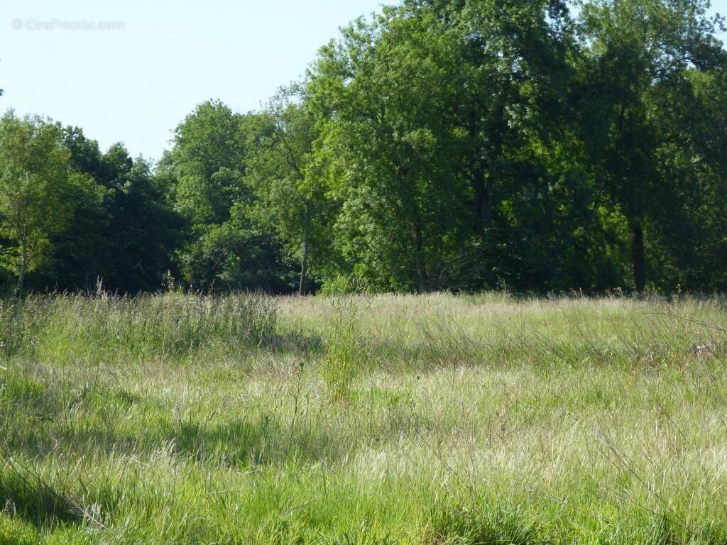 Terrain à MIGNE-AUXANCES