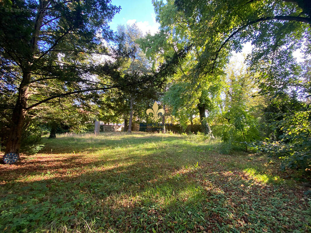 Terrain à COYE-LA-FORET