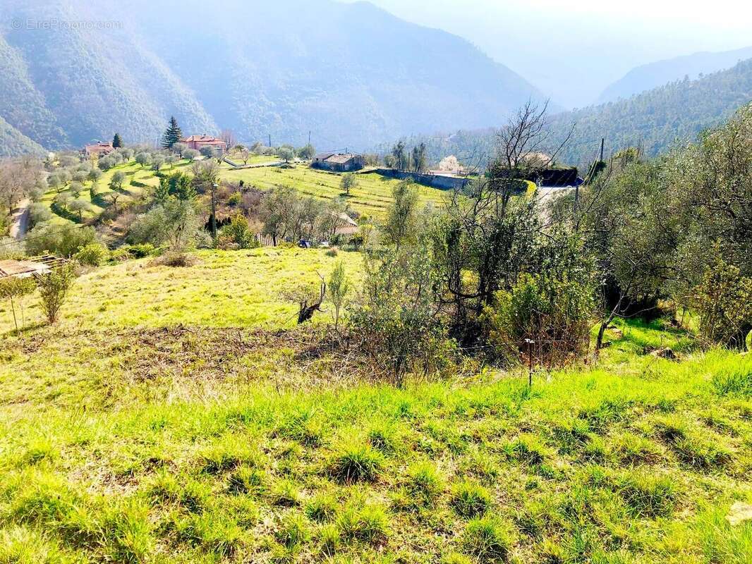 Terrain à PIERREFEU