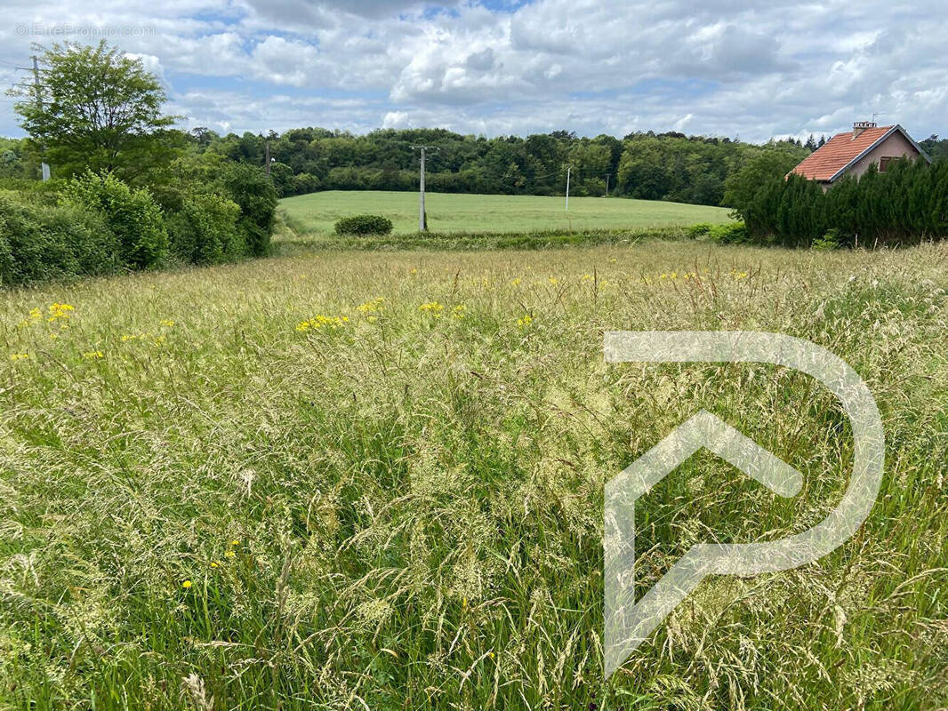 Terrain à DOLE