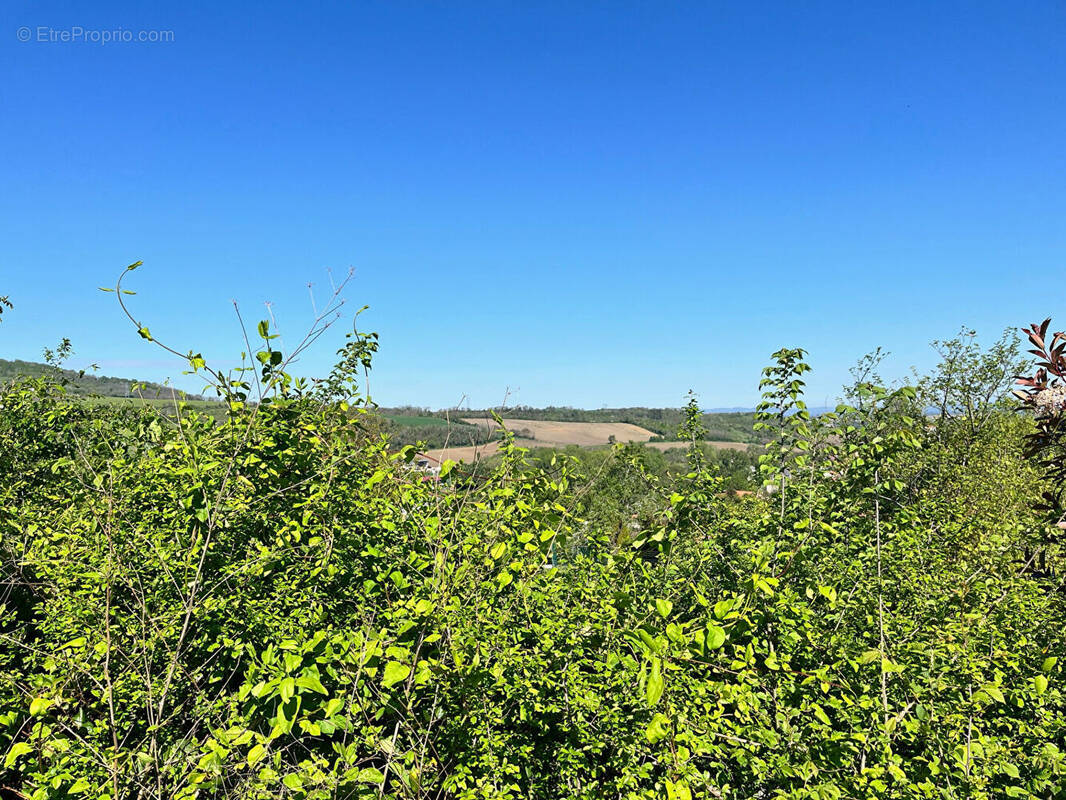 Terrain à VERTAIZON
