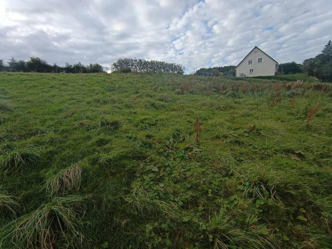 Photo 1 - Terrain à CAMPAGNE-LES-HESDIN