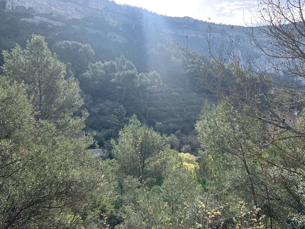 Terrain à FONTAINE-DE-VAUCLUSE