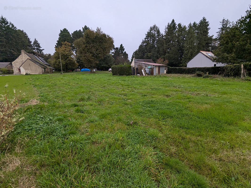 Terrain à CARENTOIR