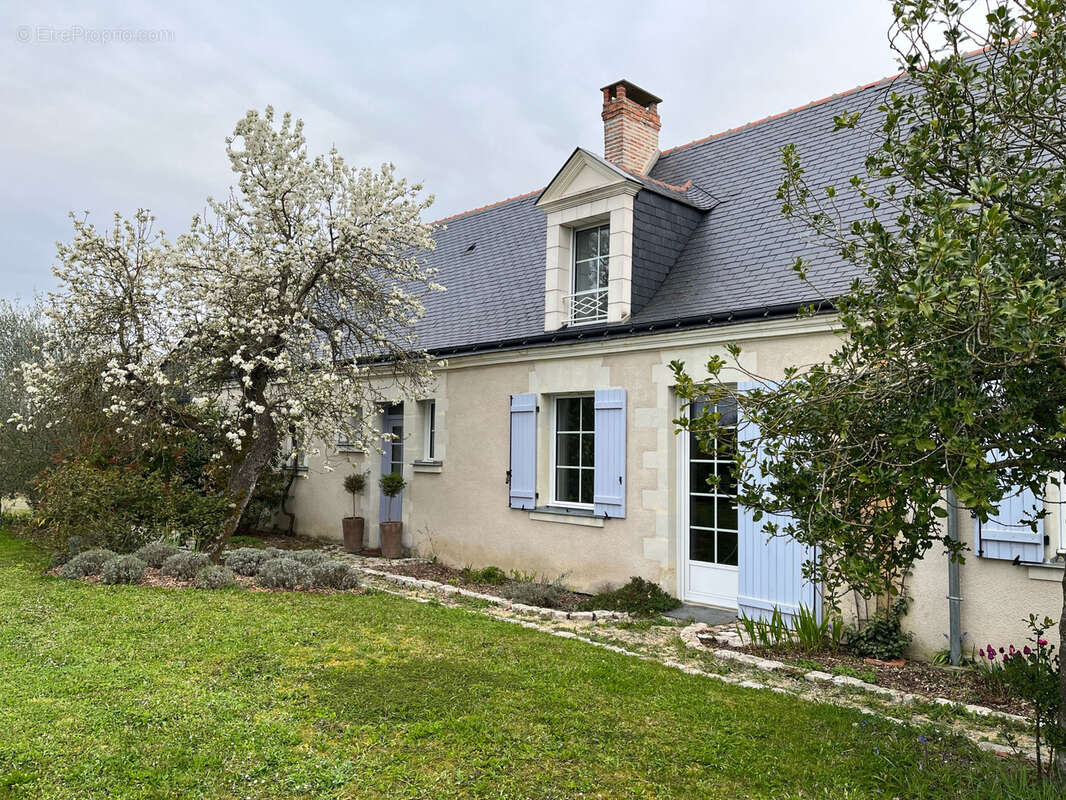 Maison à PELLOUAILLES-LES-VIGNES