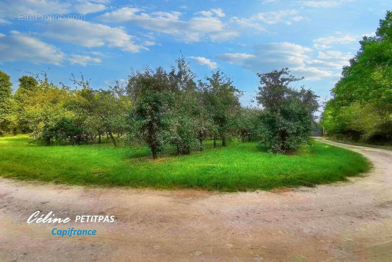 Terrain à IFFENDIC