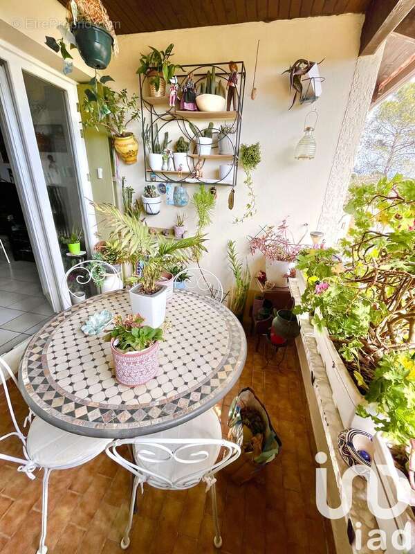 Photo 6 - Appartement à ANTIBES