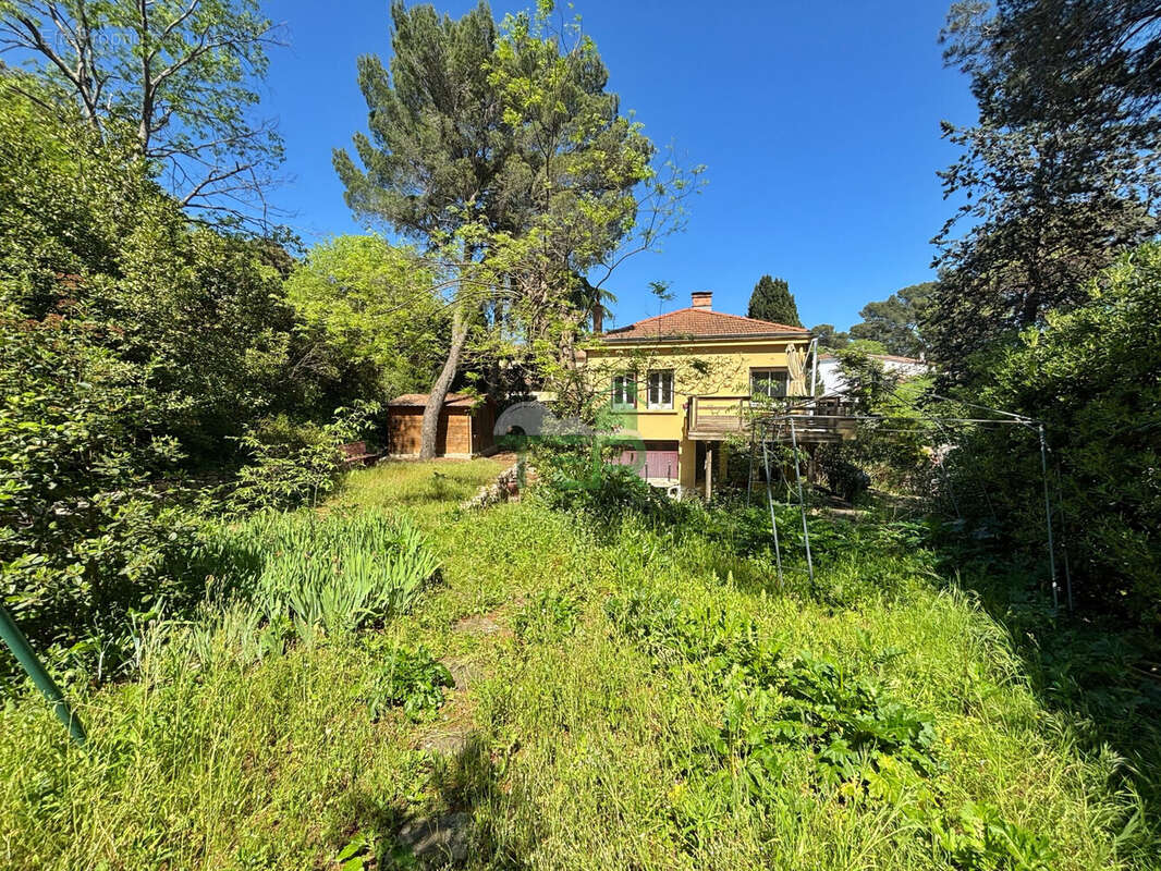 Maison à MONTPELLIER