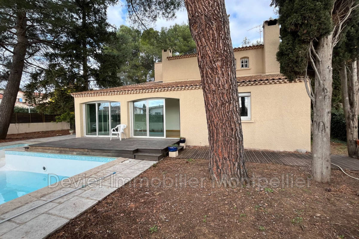 Maison à MONTPELLIER