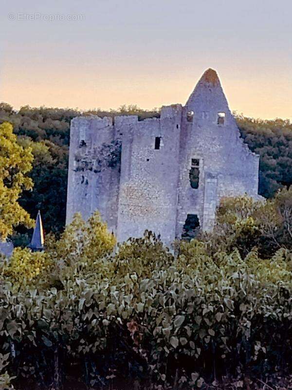 Maison à ANGLES-SUR-L&#039;ANGLIN