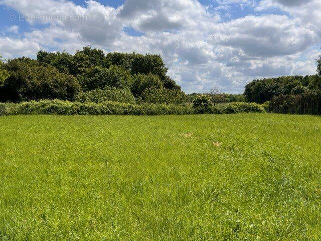 Terrain à CHASSENEUIL-DU-POITOU