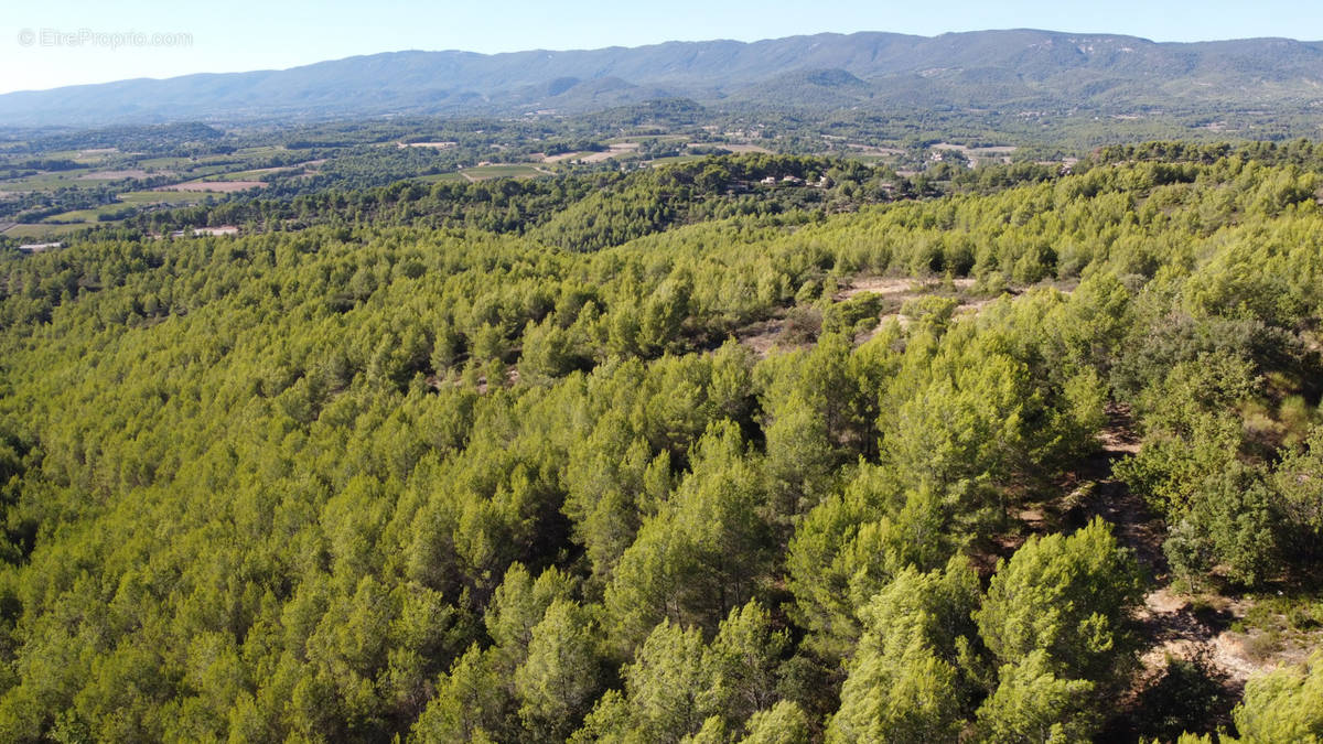 Terrain à GRAMBOIS